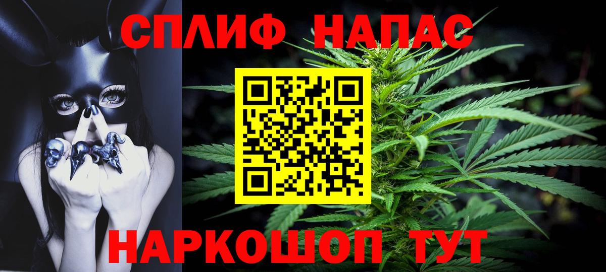 Марихуана MAZAR  Шишки марихуана сатива  Вход с VPN  Канабис планчик  Тверь 